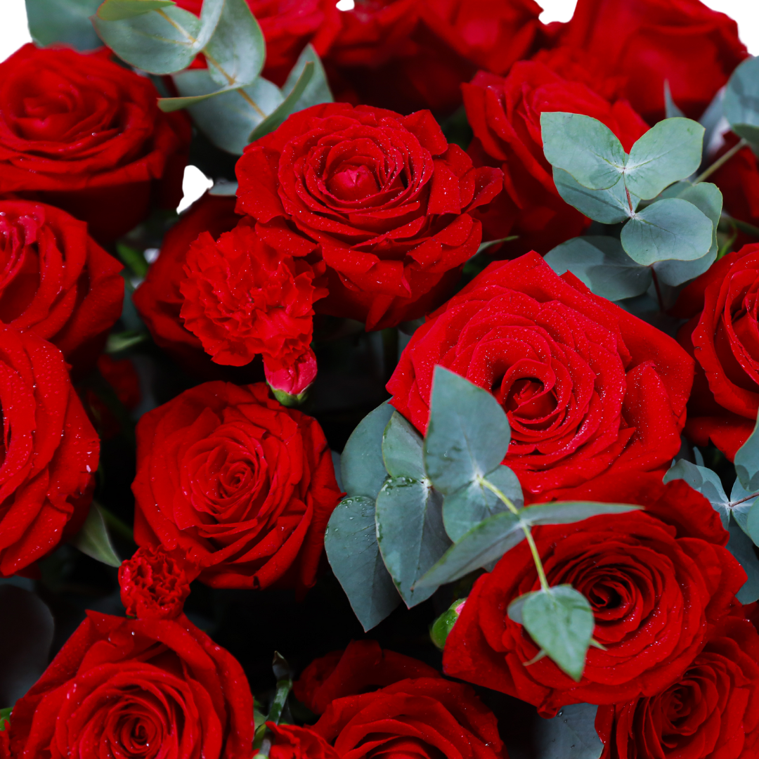 Lady Mia Amor - Image 2