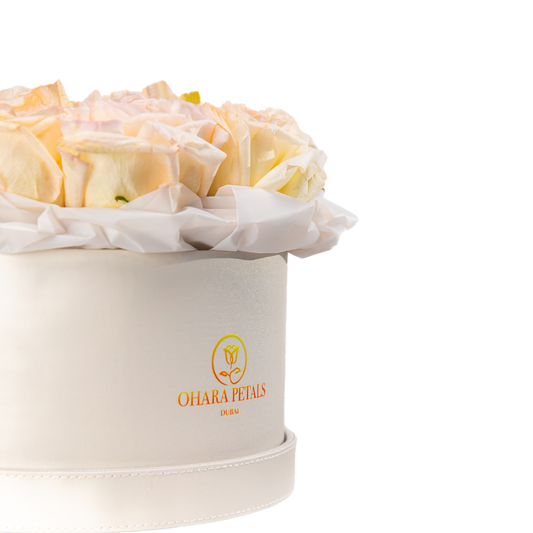 Charming White - Image 3