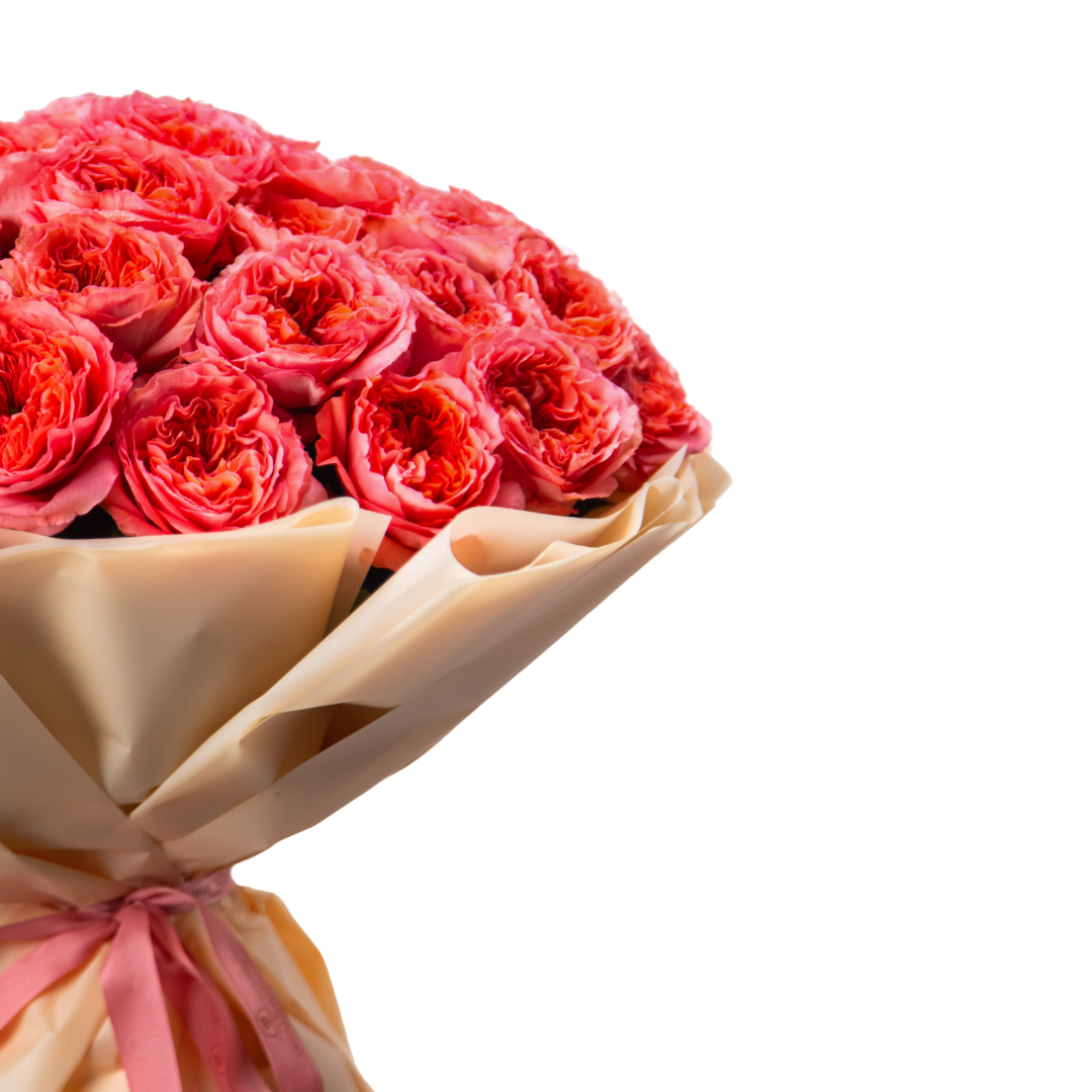 Her Majesty - Image 4