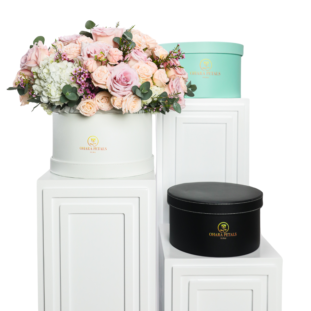 Samantha's Collection