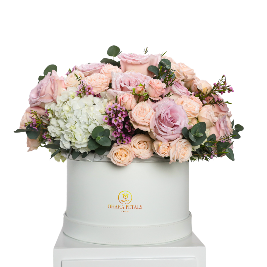 Samantha's Collection - Image 2