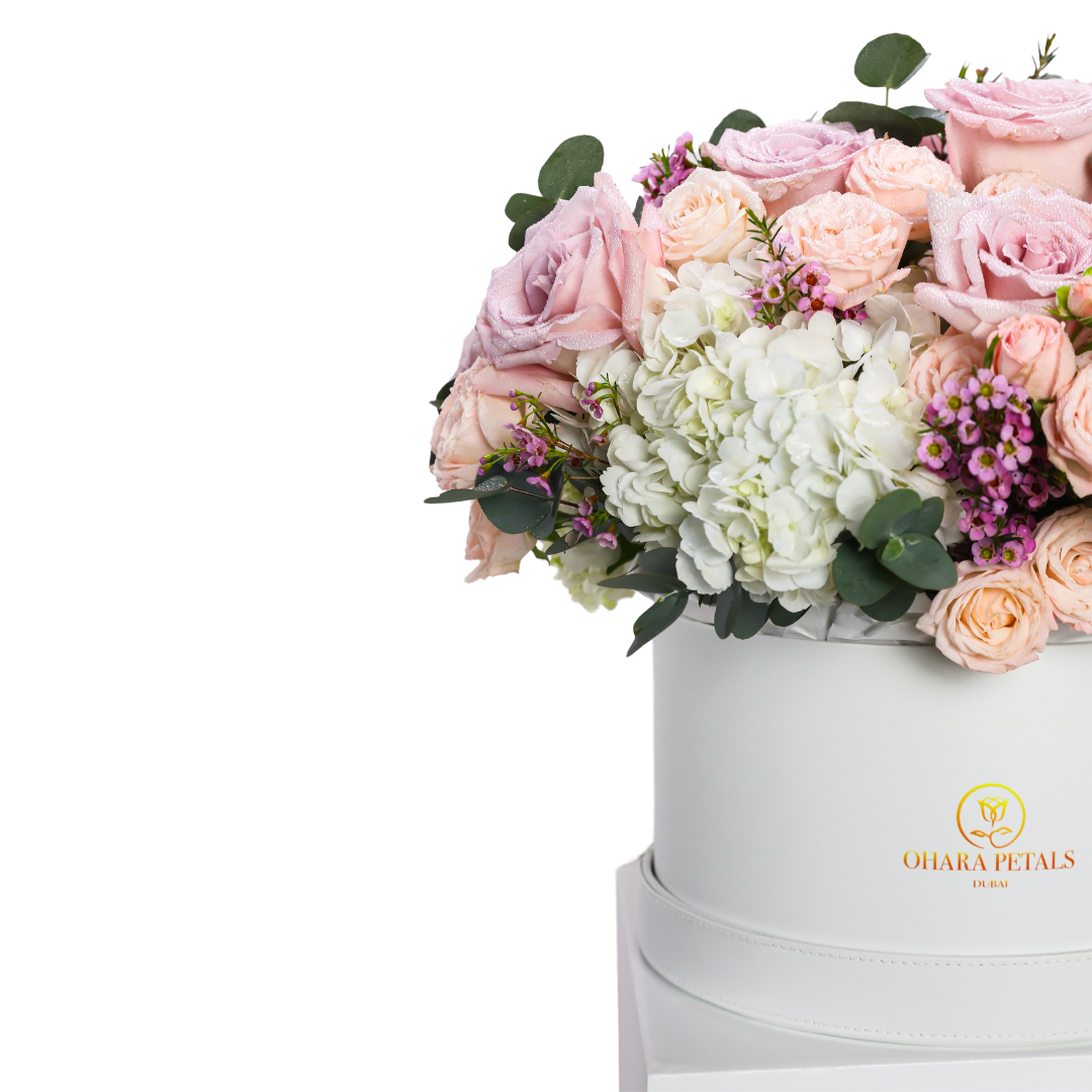 Samantha's Collection - Image 3