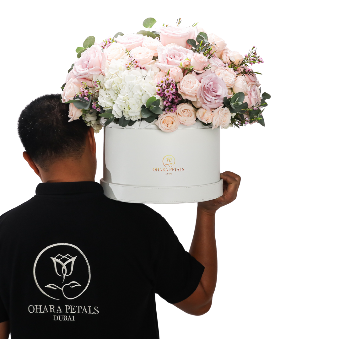 Samantha's Collection - Image 4